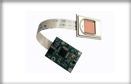 CAMA-AFM32 Capacitive Fingerprint Sensor Module